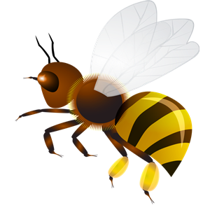 Wasp PNG-74585